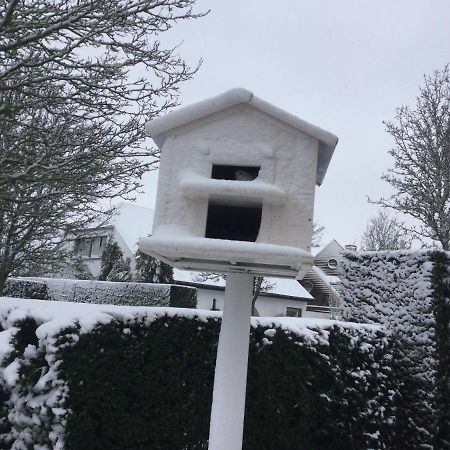 B&B Colombe Blanche Knokke-Heist Buitenkant foto